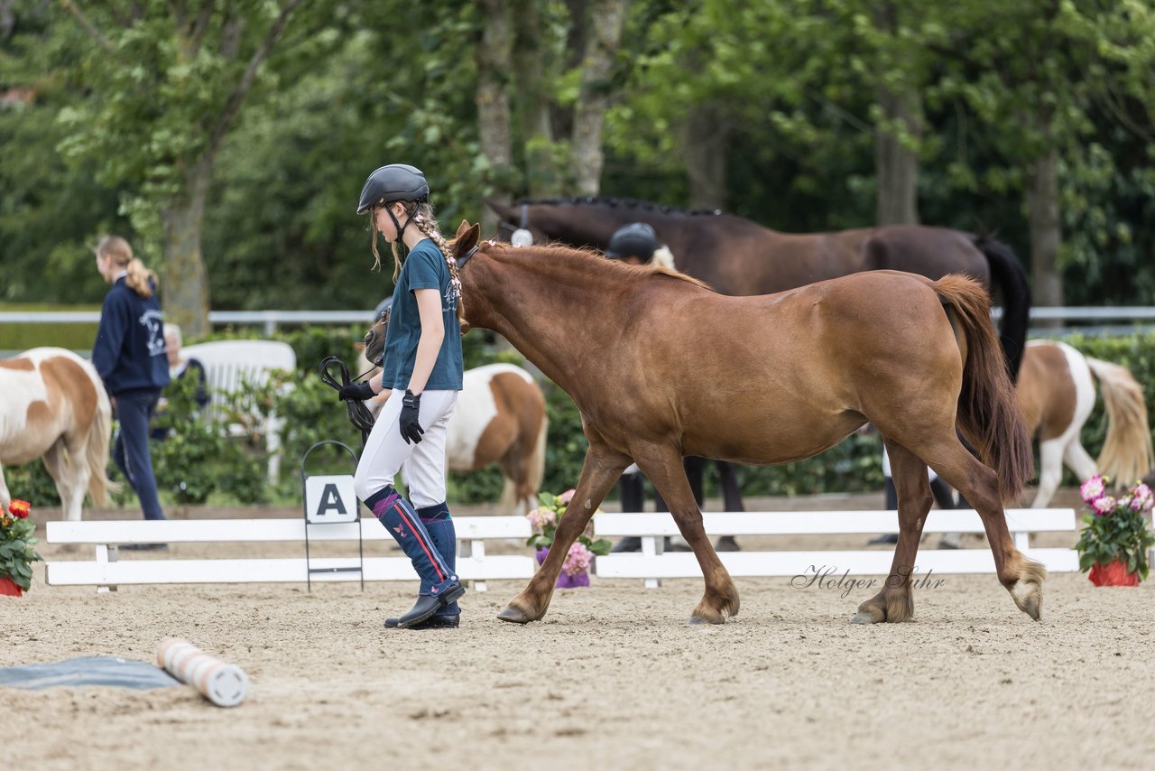 Bild 103 - Pony Akademie Turnier